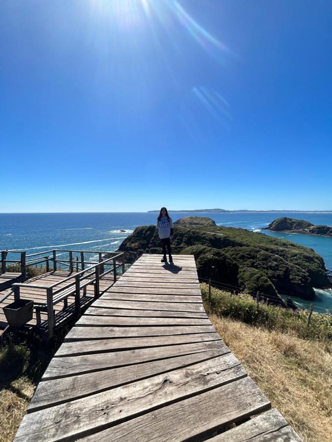 Purple Fox Hotel Ancud Buitenkant foto